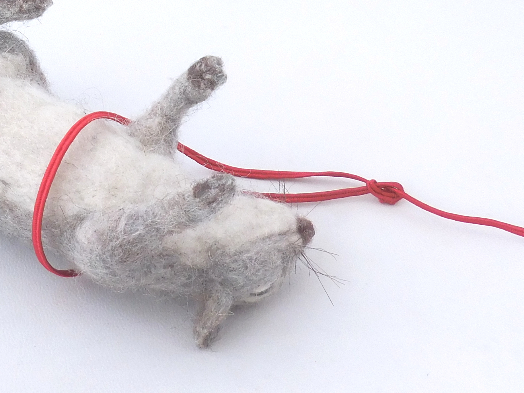 Pic #9: Band harness, Step 1