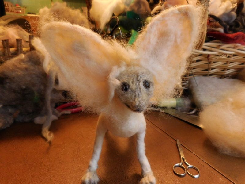 Pic #27: Rough ears