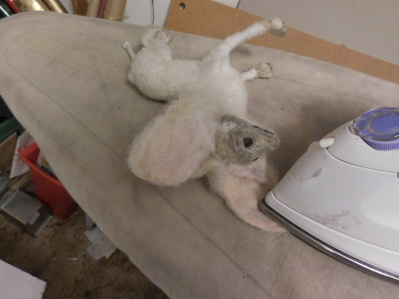 Pic #28: Ironing ears