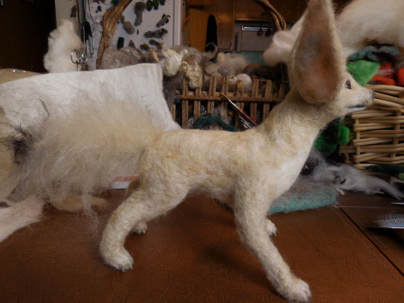 Pic #47: Tail fur cont&rsquo;d 2